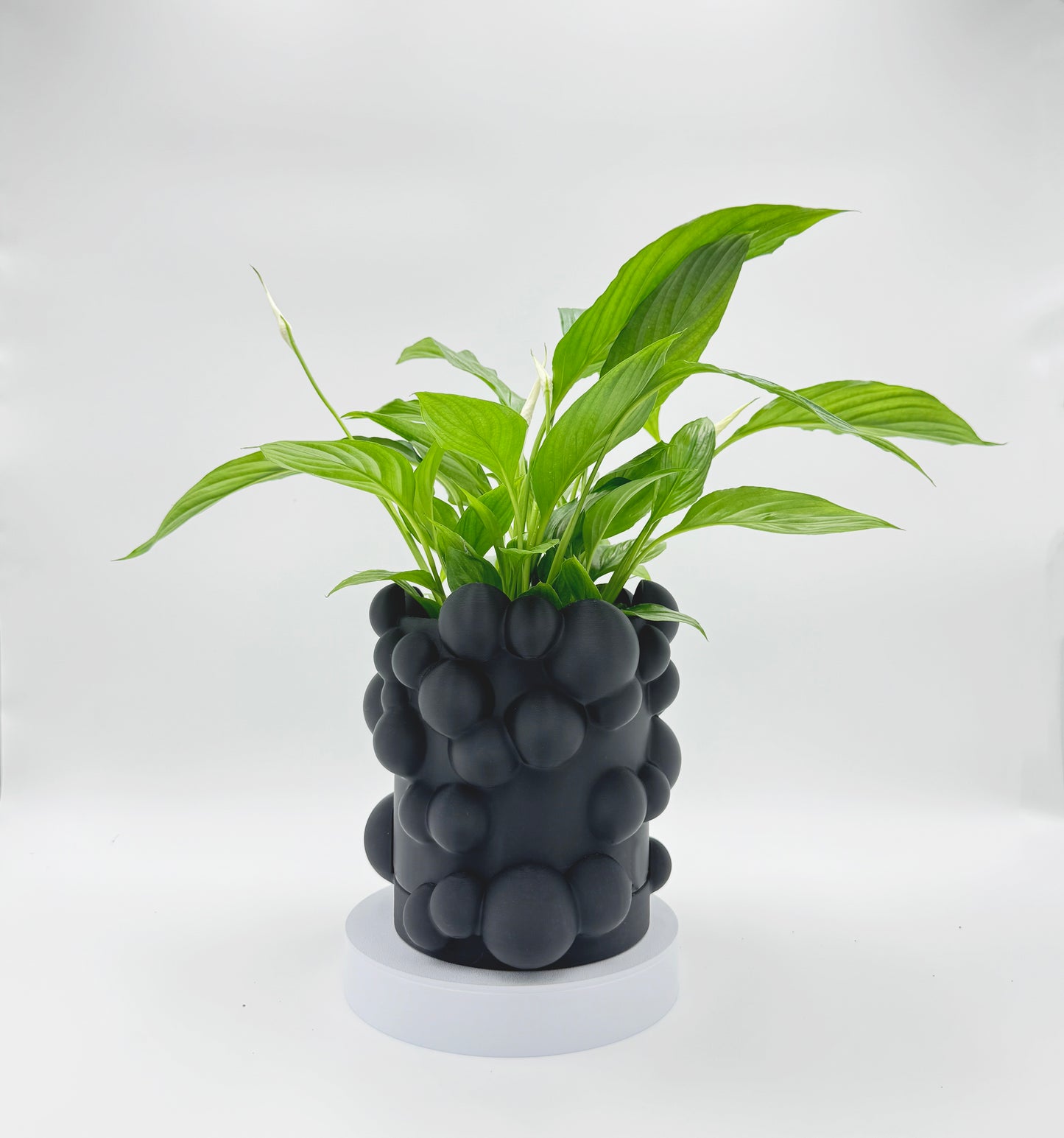 Flower Pot TO THE SKY (Black matte)