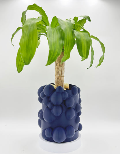 Flower Pot TO THE SKY (Blue Dark)